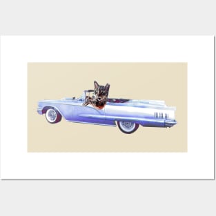 Funny cat art classic car Hot rod Thunderbird Cadillac Posters and Art
